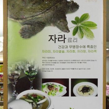 An advertisement for a restaurant, serving some kind of turtle soup. <a href="https://www.facebook.com/dprk360/photos/a.238142196309616.1073741845.211159445674558/345814562209045/?type=3&theater" target="_blank">Original photo</a> north-korean-advertisement3